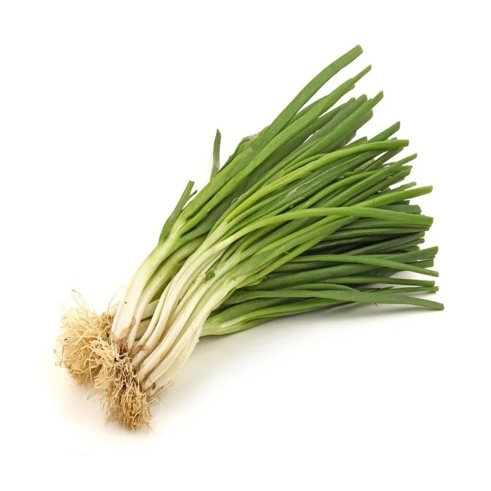 
100% Natural Quality Wholesale Supplier Of Fresh Vegetables Scallions At Cheap Price 