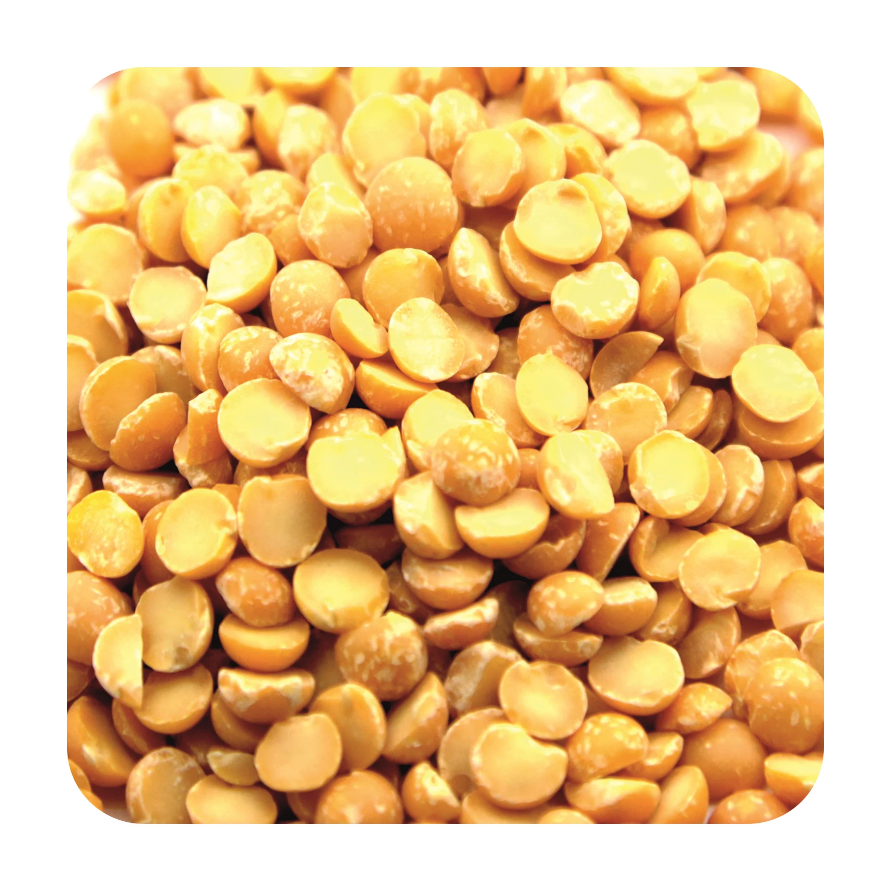 
High quality split peas yellow 15/25/50 kg bags or in bulk, in stock 