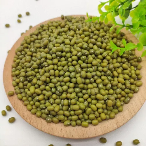 Wholesale High Quality Green Mung Beans For Sale In Cheap Price
