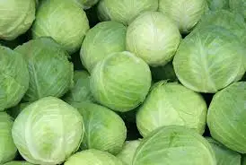 Оптовая продажа вьетнамской свежей зеленой капусты 100% новый урожай круглой формы вьетнамской/Hana