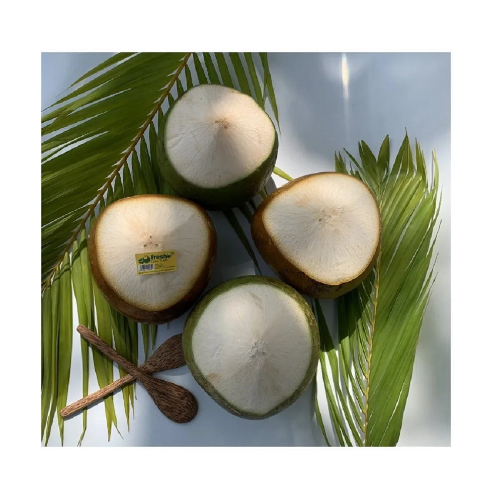 High Quality 4 Weeks Use Fresh Semi-Husked Pulf and Shell Hat Cut Shape For Drink Green Young Coconut
