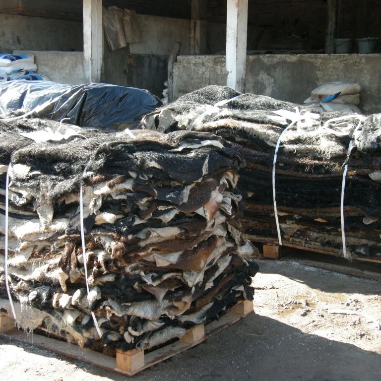 Wet salted Cow hides