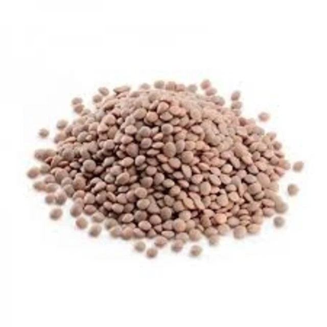 
Brown Lentils for sale 