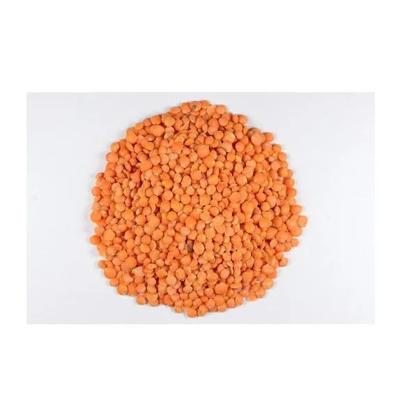 
Trusted Wholesale Supplier Of Red / Green Lentils At Cheap Price 