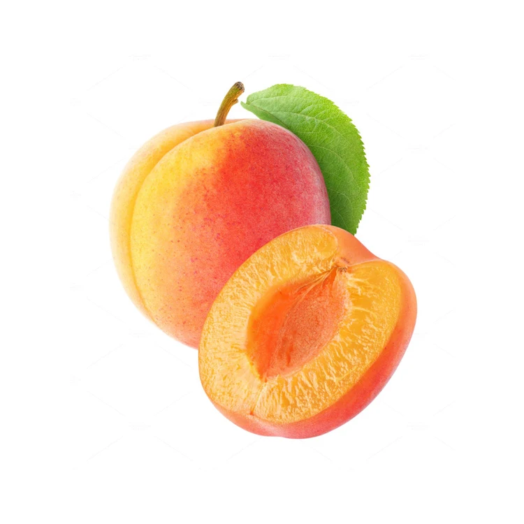 
High Quality Best Selling Organic Fresh Apricots for Bulk Purchase 