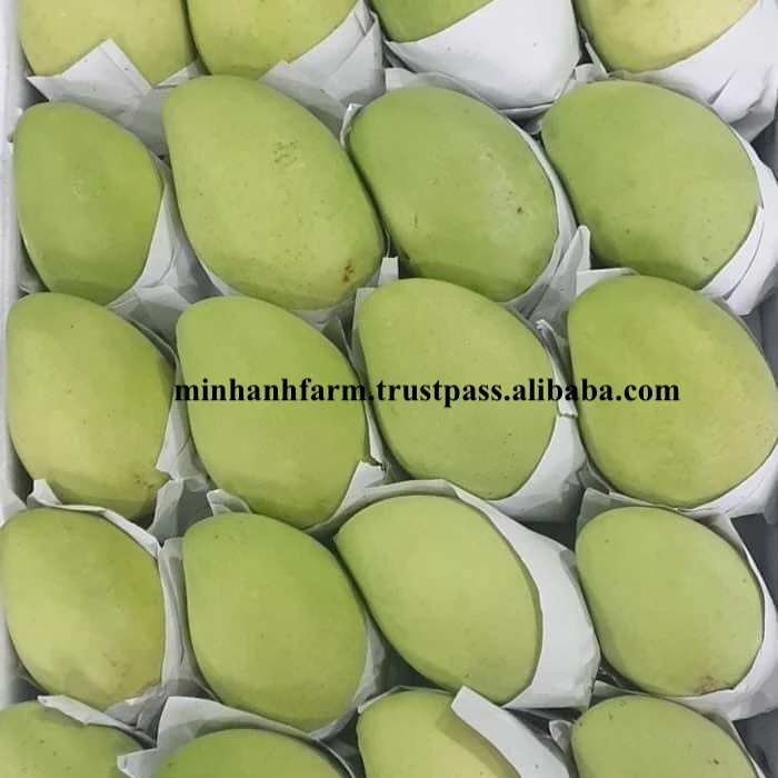 Лидер продаж, 100% органическое манго во Вьетнаме, низкая оптовая цена, новый урожай в 2021 году
