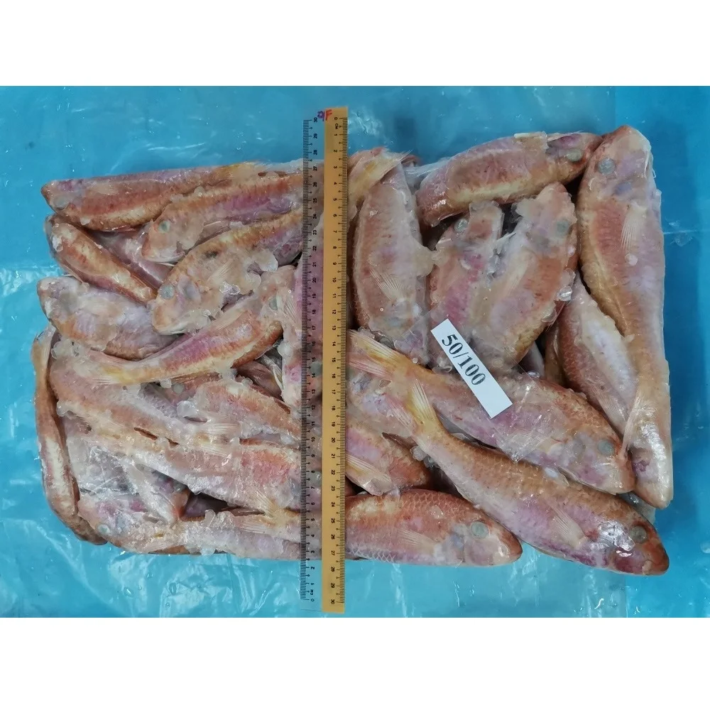 Malaysia High Quality Top Grade Natural Frozen Seafood Whole Round Red Mullet Goat Fish