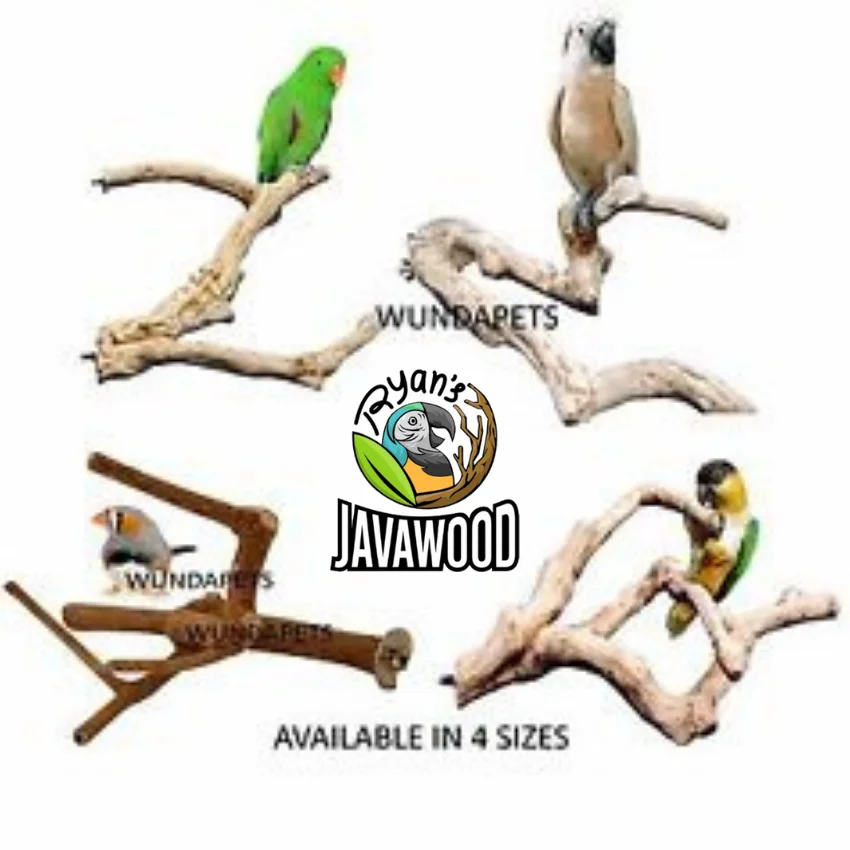 2020 New Design Nature Wood Hanging Pet Ladder Rack Solid Pattern Play Toys Bird Perch Stand from Indonesia