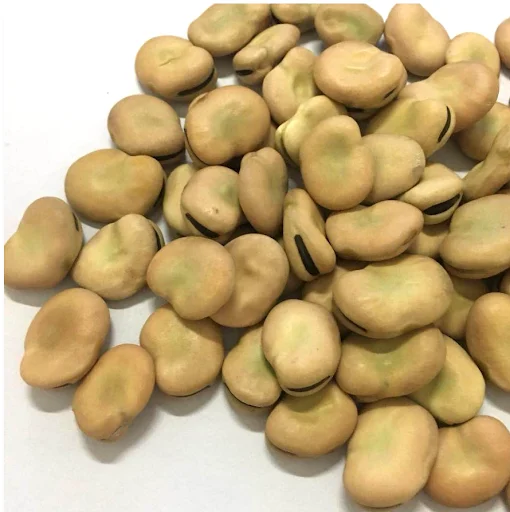 Dried Broad Beans Fava Beans
