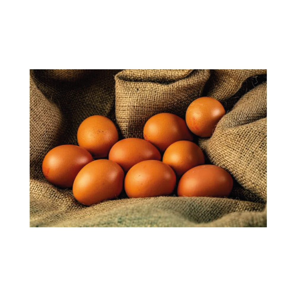 High Quality Organic Certified Free Range Chicken Eggs Wholesale Product - Medium Size 53-62 Grams