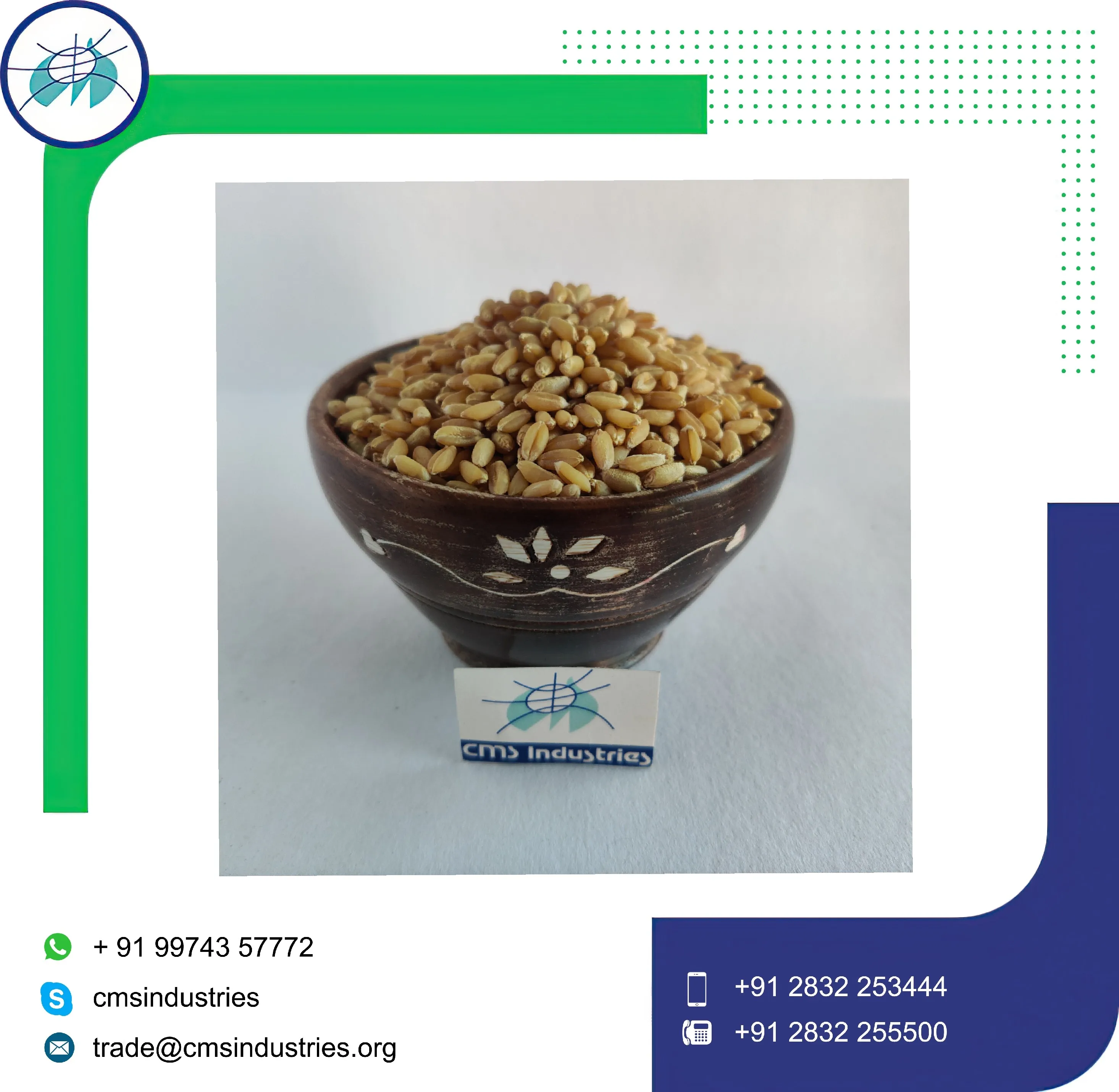 Великолепная Пшеница локвана