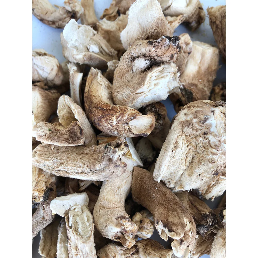 
2 year Japan Raw Cultivated slice shiitake dried mushroom stem 