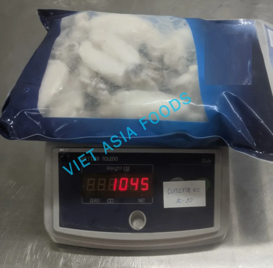 (NEW PRODUCT) Cuttlefish/Frozen Whole Cleaned Cuttlefish For Sale in VietNam
