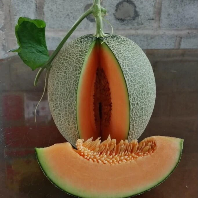 
Hybrid F1 watermelon seed for planting-Huawang No.7 
