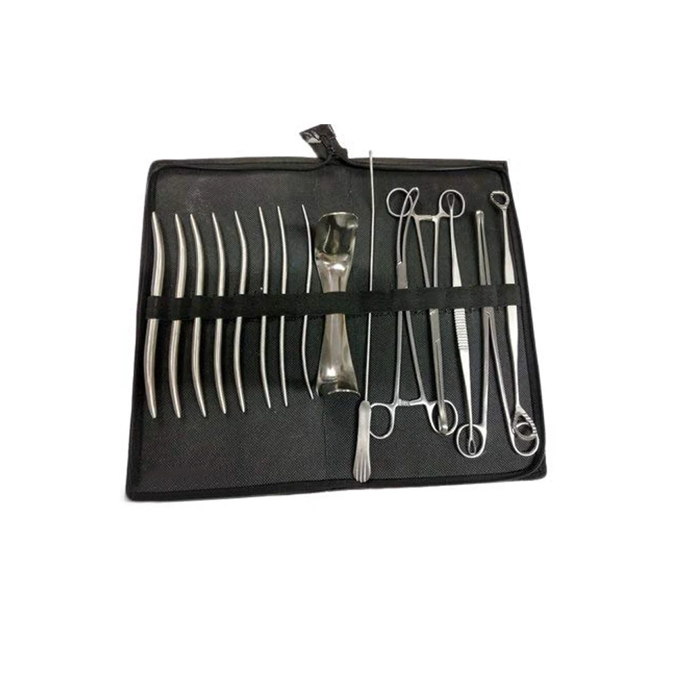 Базовый D & C хирургический набор для Gynae с чехлом
