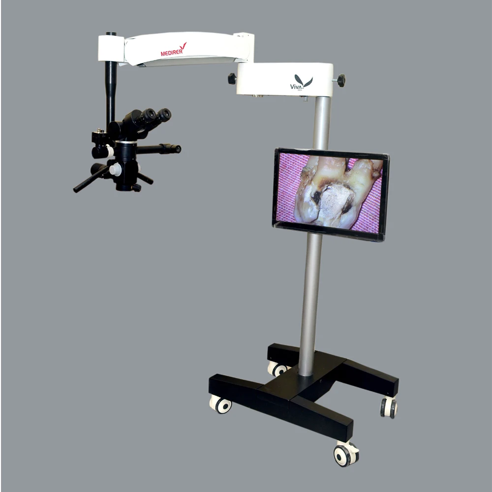 Endodontic Dental Microscope