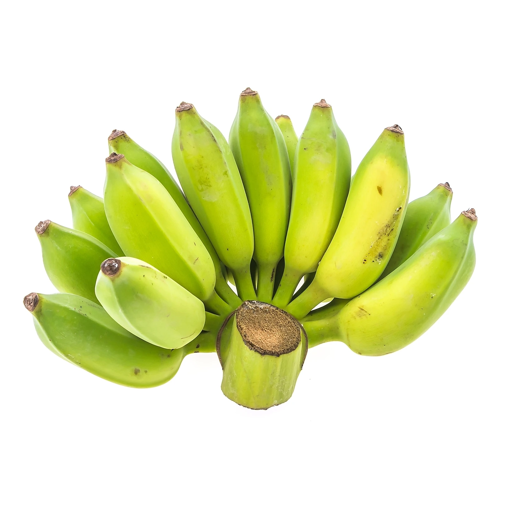 Fresh Cultivated Banana Fruit products Fresh bananas choicest Thai Fruit from Thailand fruit export