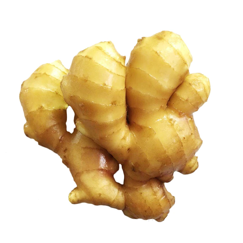 
We Sell 100% Pure Fresh Ginger / Dried Ginger / Ginger Extract Powder At Best Price... 