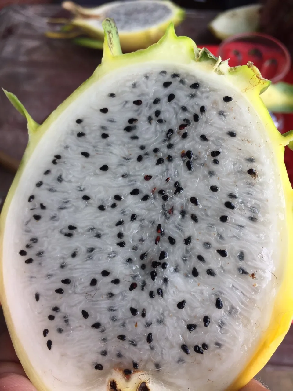 Yellow Skin Dragon Fruit Cheap Price Low MOQ Hot Selling Top Grade 2021 Best Quality Brand Supplier From Vietnam