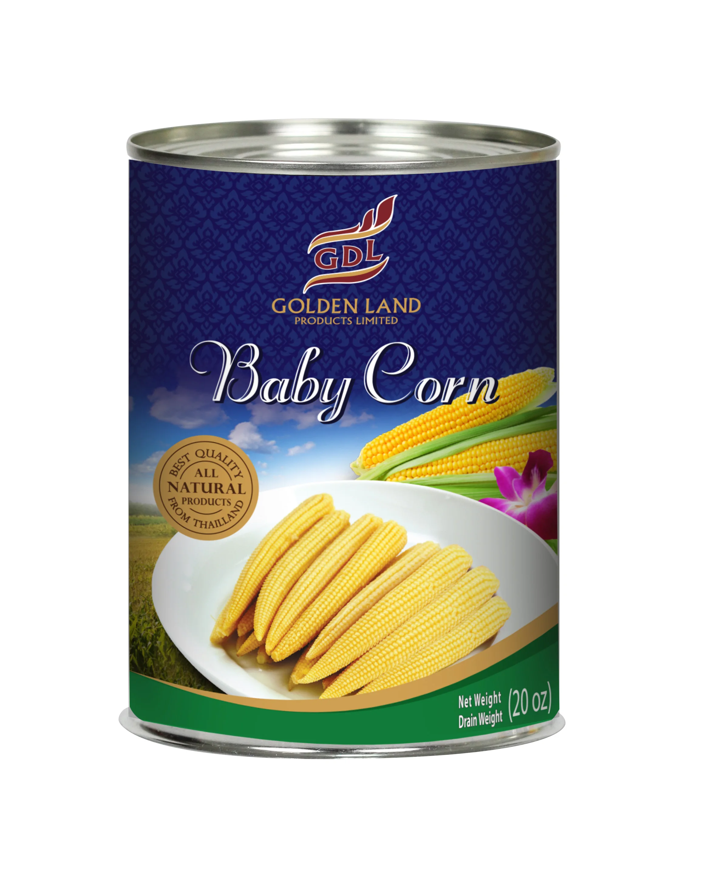 Canned Whole Baby Corn In Brine 15OZ. With Best Price