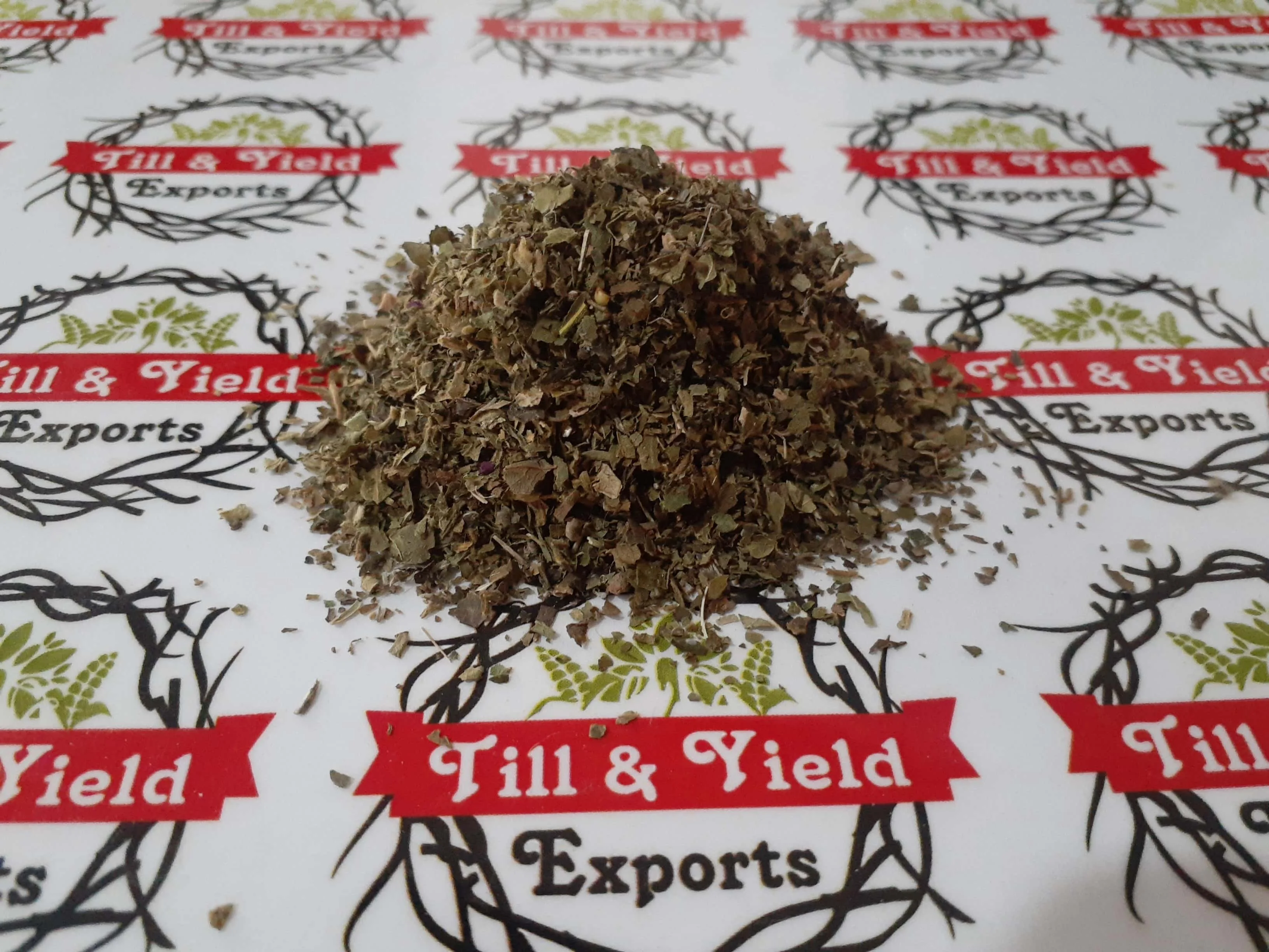 Premium Indian Origin Herbs Gymnema sylvestre - Gudmar - Gudmar Tbc Tea cut size 0.5-4mm high Quality Tea