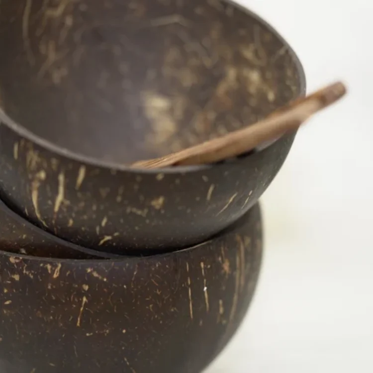 Natural and Eco-Friendly Coconut Shell Bowls, Best Christmas Gift Vietnam wholesale