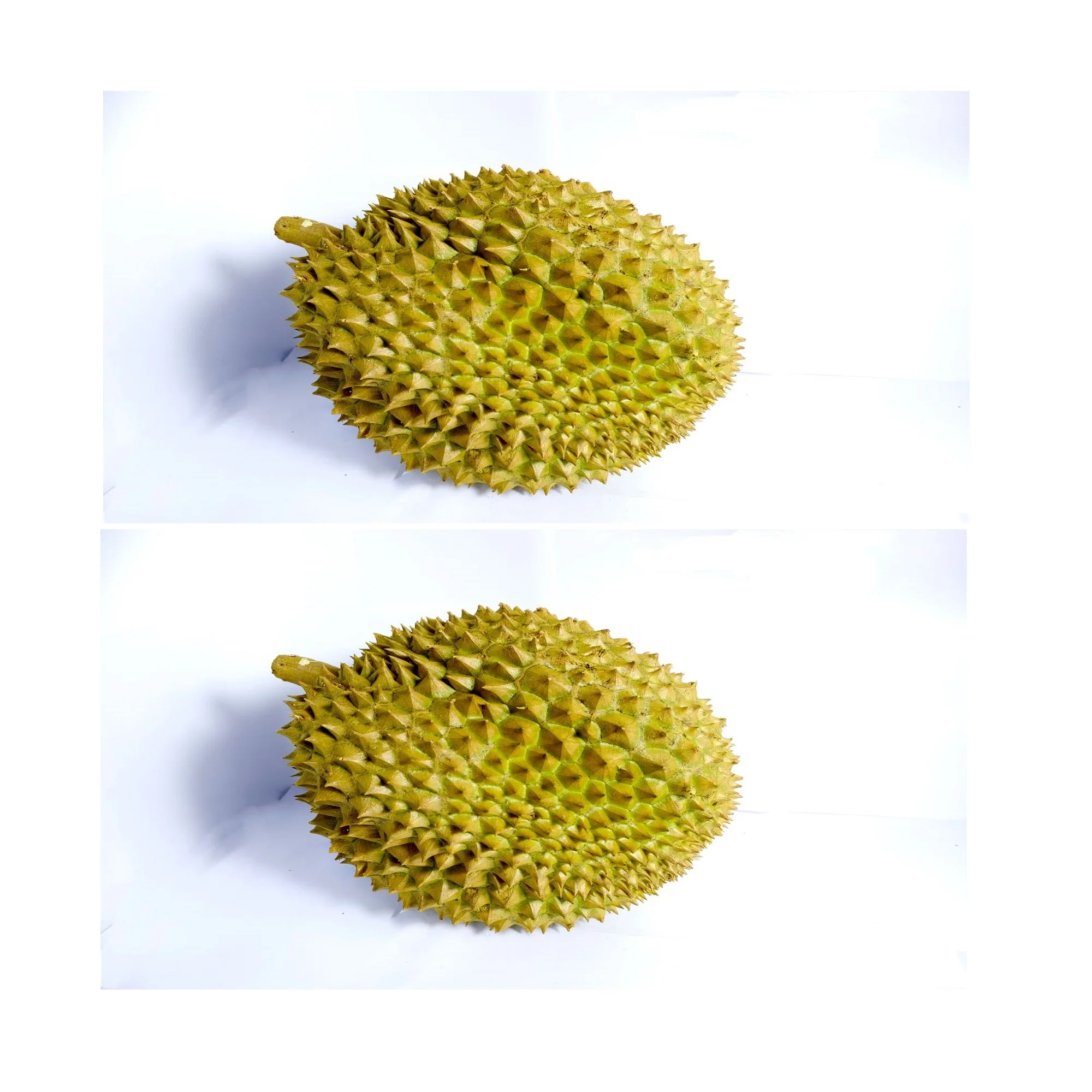 
Organic Fresh Fruit Monthong Thai Durian With High Quality And Best Selling Price 