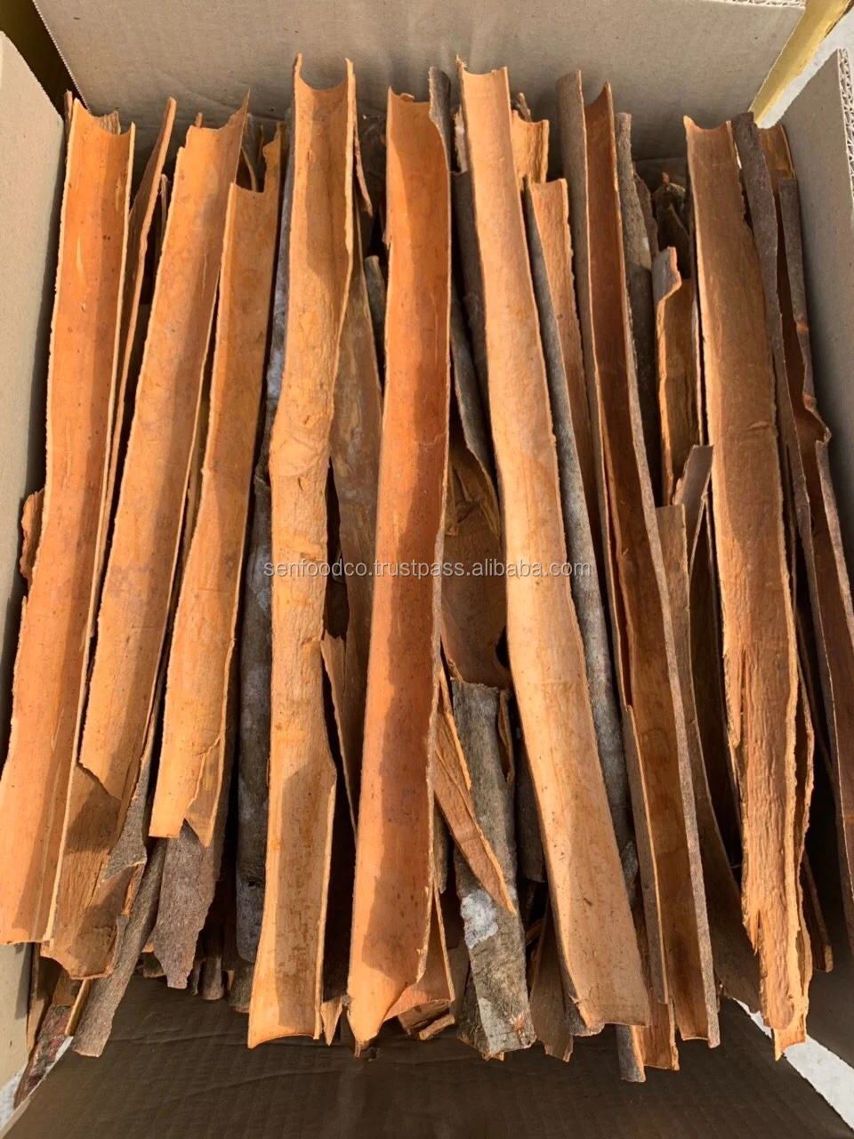 SPLIT CASSIA FROM VIETNAM whatsapp: +84 934 449 569 COMPETITIVE PRICE