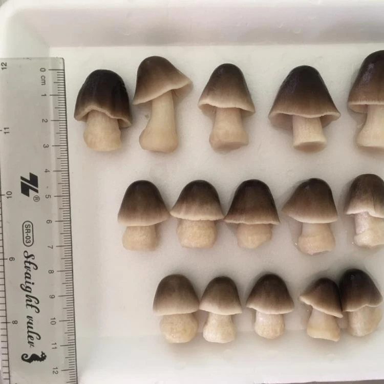
Frozen fresh Straw mushrooms - Whatsapp: +84-845-639-639 