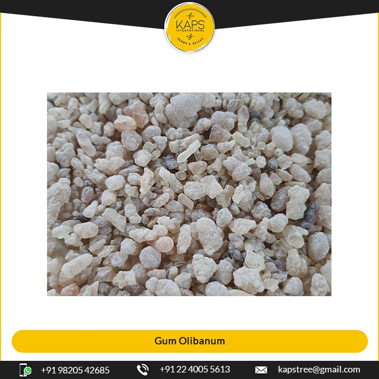 Превосходное качество оптовый поставщик фармацевтической камеди