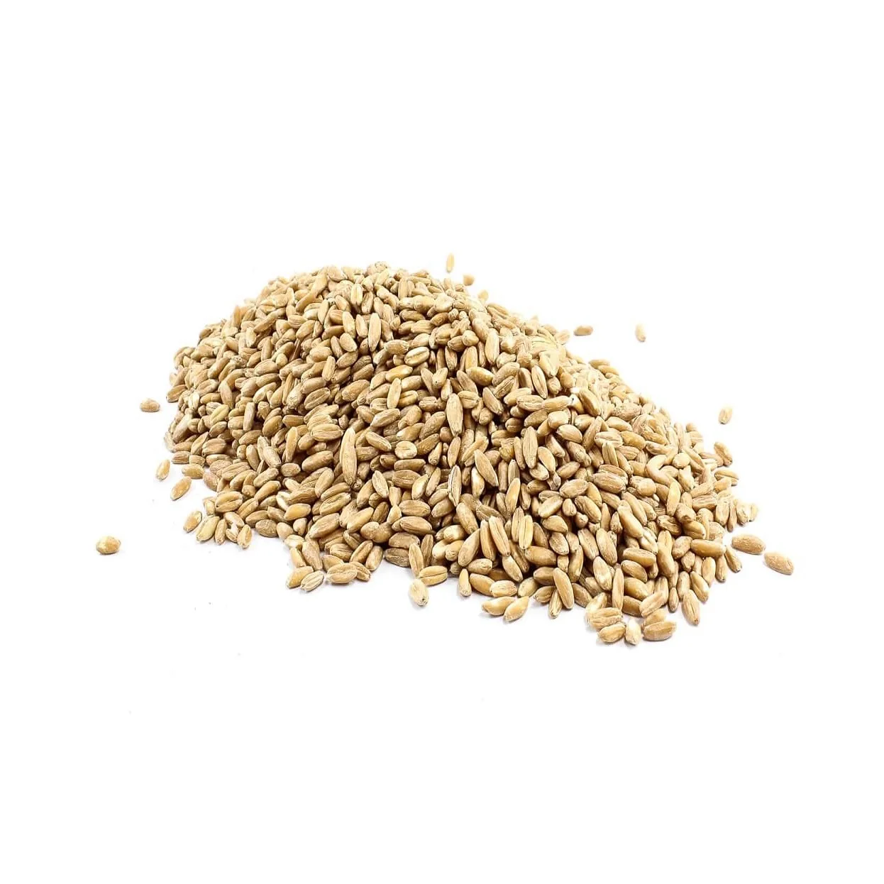 organic wheat grain.jpg