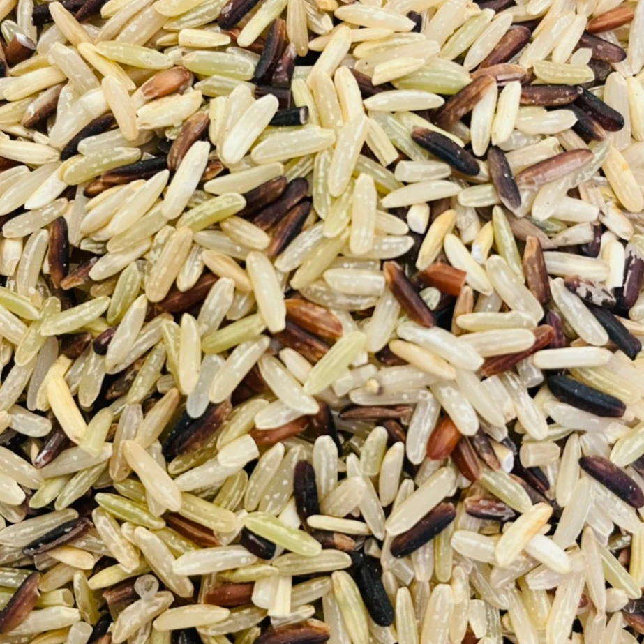 
Certified Organic Color Sort Rejected Hom Mali Jasmine Rice Grain Human Food Grade 