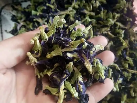 Health Benefits Blue Flower Tea / Best Blue Tea from Dried Butterfly Pea Flowers (WhatsApp: +84 901 006 904)