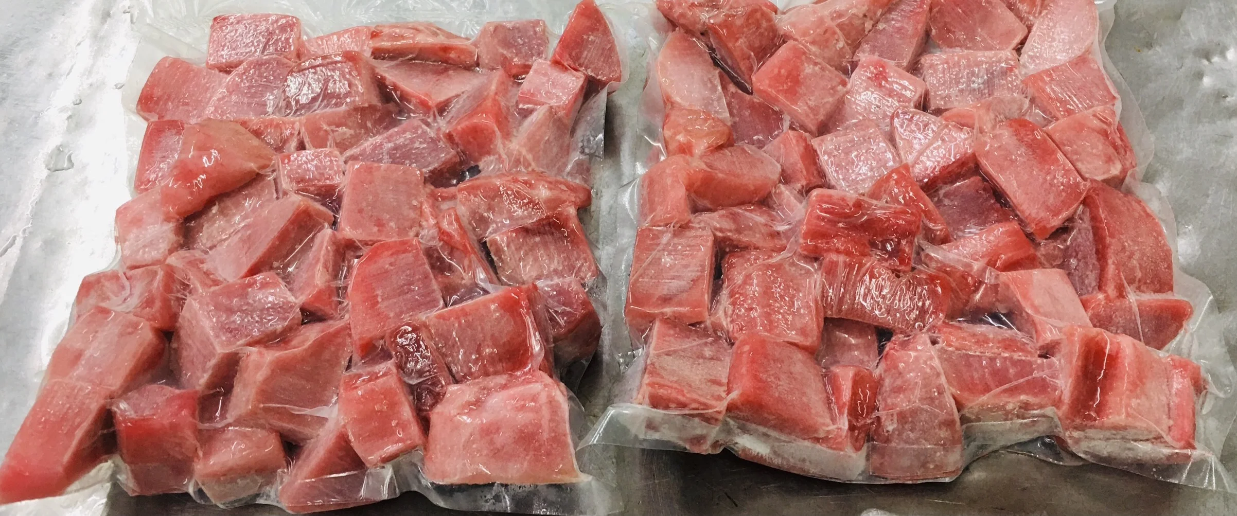 Frozen Tuna CO treatment ( Loins/ Saku/ Steak/ Cube / Strip ) Thunnus Albacares / Thunnus Obesus)