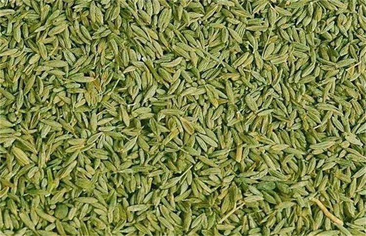 Non-GMO Organic Whole Gold Linseed Grain Brown Flax Seeds / SPIECES CUMIN SEEDS AND CORIANDA SEEDS