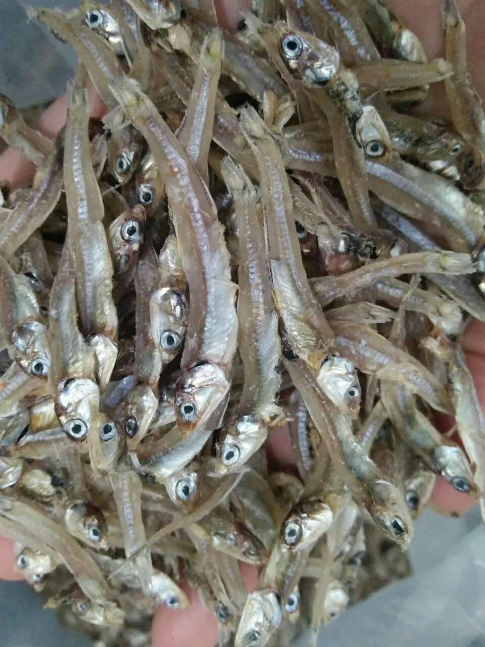 Best quality Dried anchovy by sunshine from Vietnam (Anchois) AD Process - seafood.linda(at)gmail(dot)com W/S: 0084 989 322 607