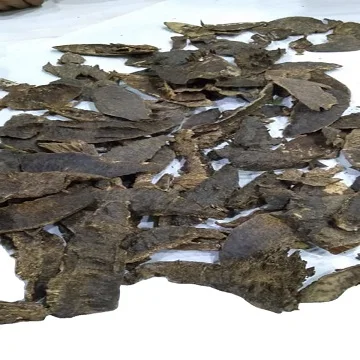 Top Product Selling - 100% Natural Indian  Agarwood Chips Oud Incense Available At Wholesale Price