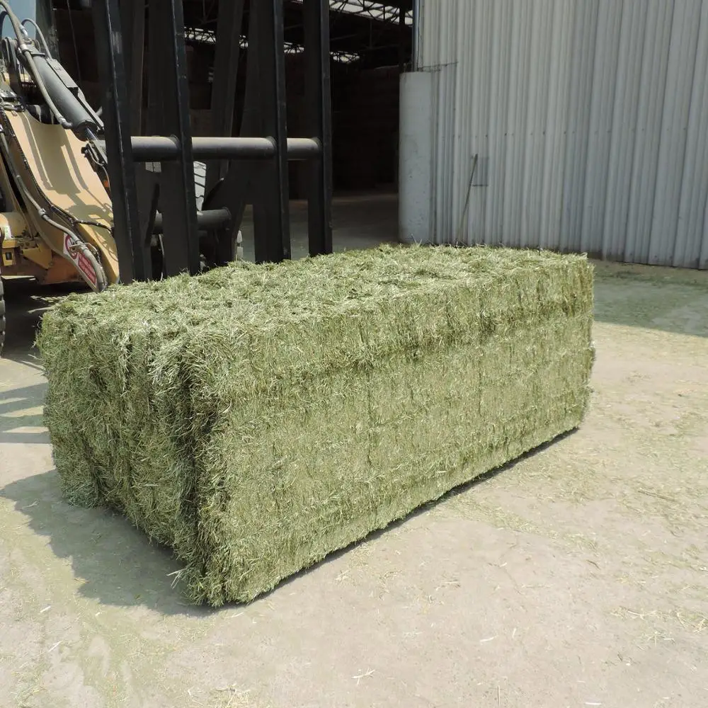 Alfafa Hay for Animal Feeding / Stuff Alfalfa hay/alfalfa hay pellets ready for export