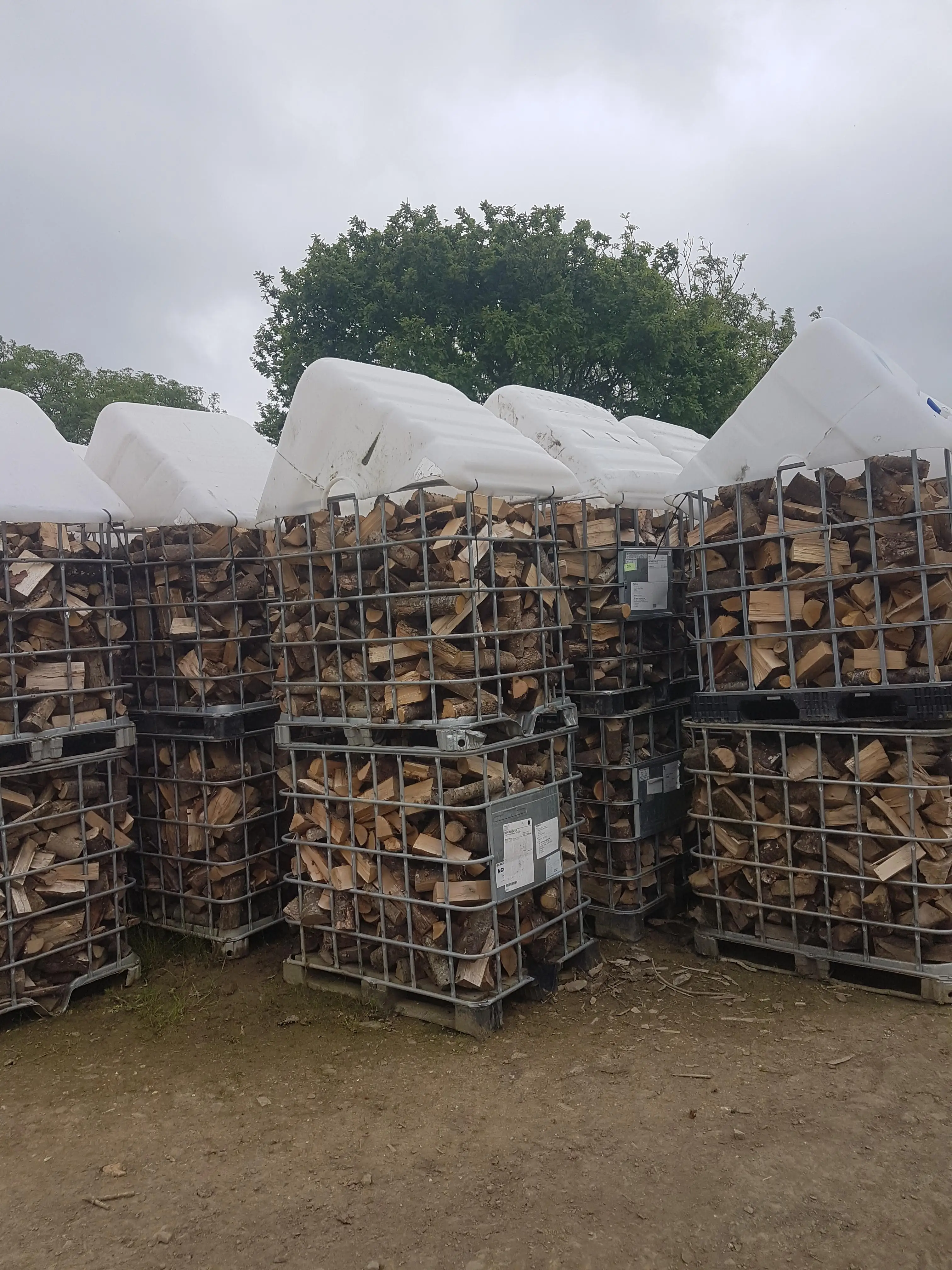 
firewood with Moisture 18%-25%,Ash, Oak, Birch, Alder,Pine Wood 