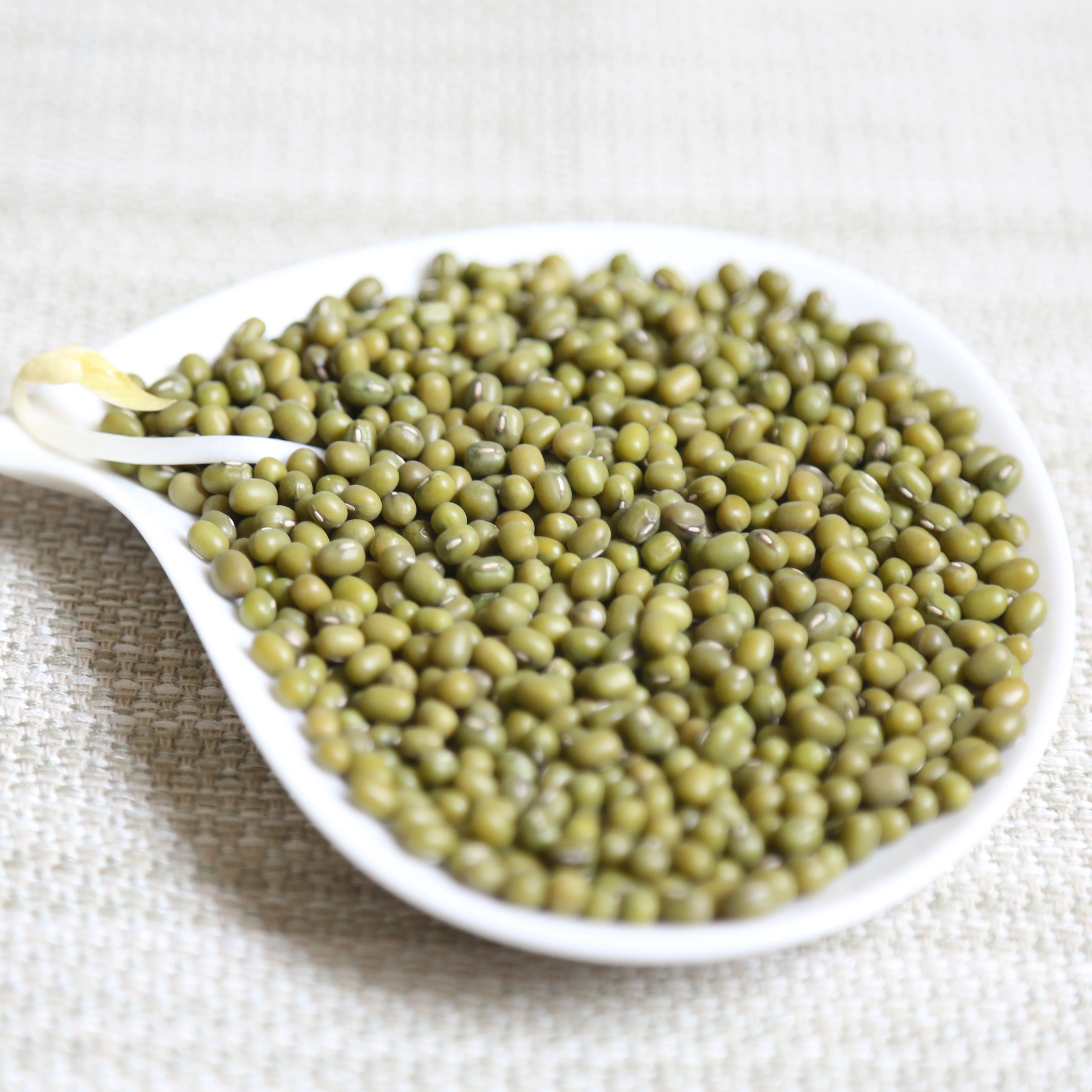 2021 WHOLESALE GOOD QUALITY ETHIOPIANB BUIK SPROUTING GREEN MUNG BEANS