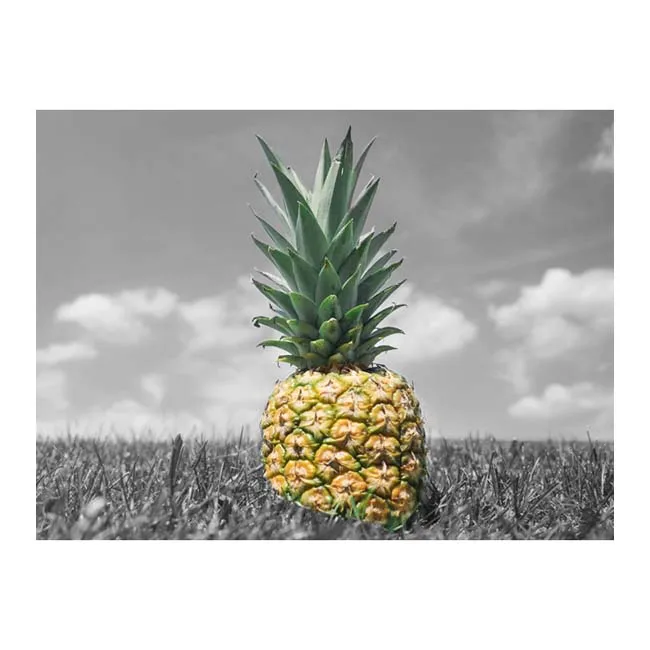 Premium Grade Natural Sweet Fresh MD2 Ananas Fruits Best For Canned Pineapple Pineapple Export From Malaysia