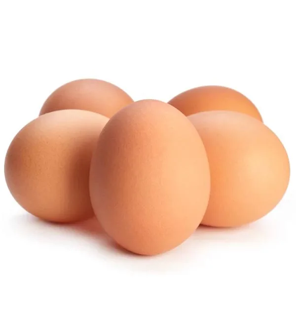 High Quality Fertile Hatching Chicken Egg/Fresh Chicken Table Eggs/Quail Eggs