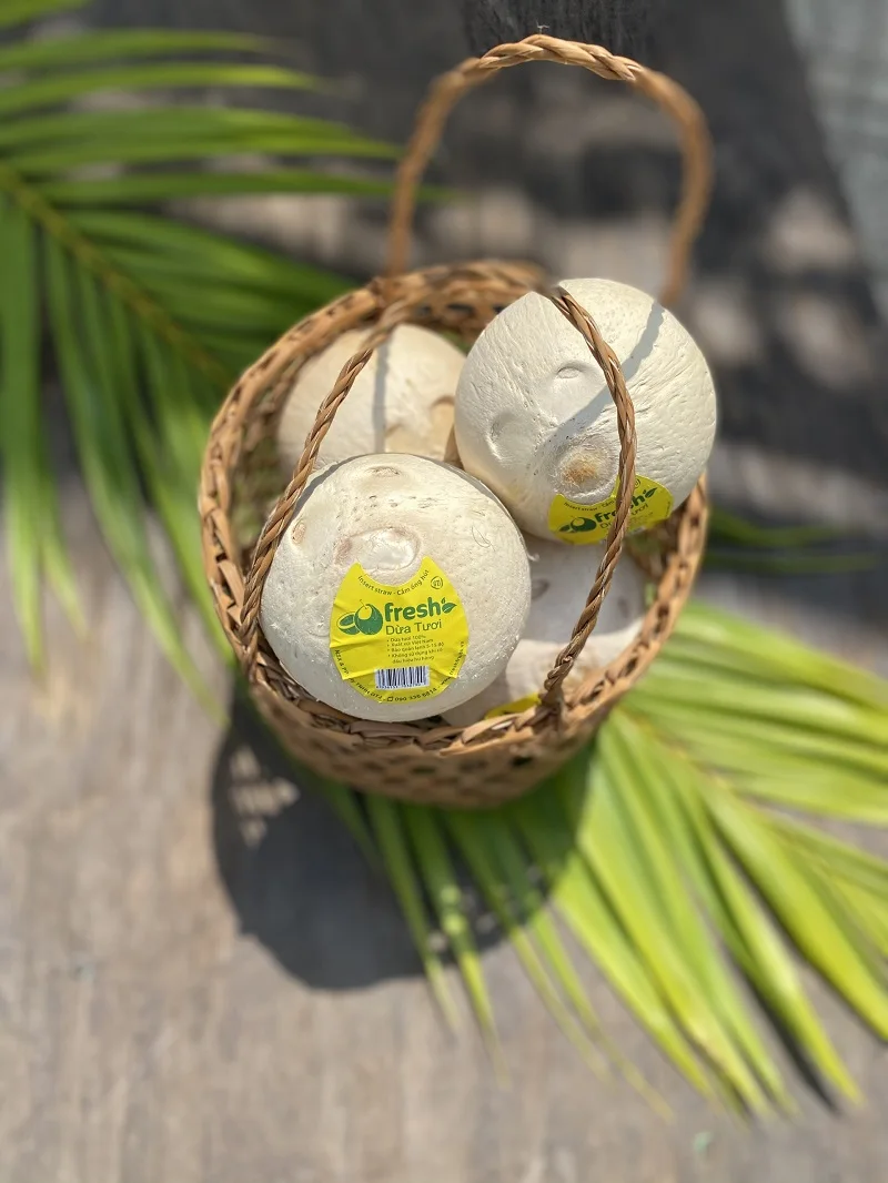 Vietnam Favourite Beverage Light Yellowish Young Coconut Organic Natural Fresh Convenient Coconut