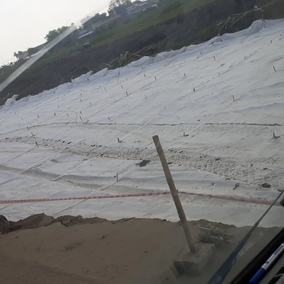 Direct Sale Geotextile 100 PP Non Woven Nonwoven Fabric Viet Nam Soft Bag Chinese Style Time Film Furniture Color Feeling Design