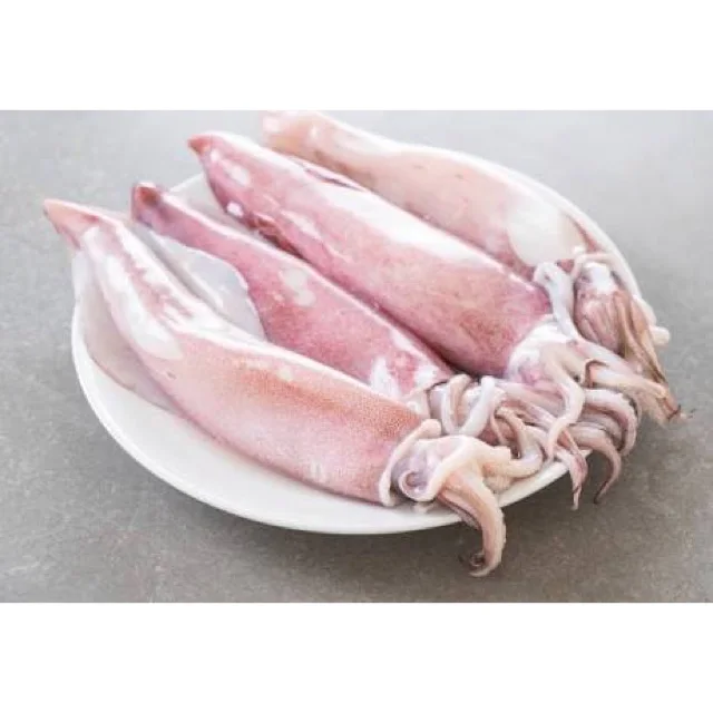 Frozen Squid