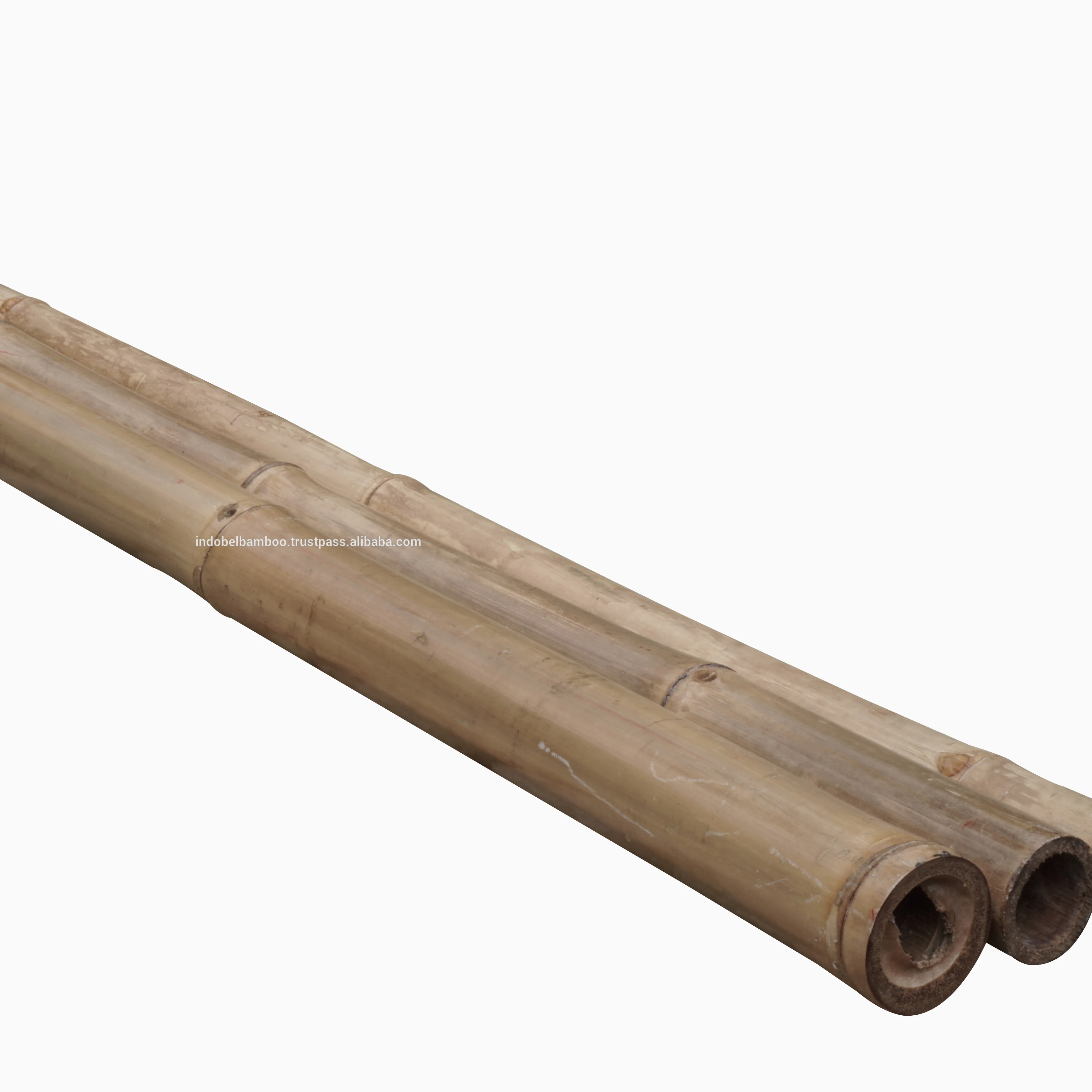 
Yellow Bamboo Pole String Bamboo Poles Tali Bamboo Pole Treated (Gigantochloa apus) 400cm 