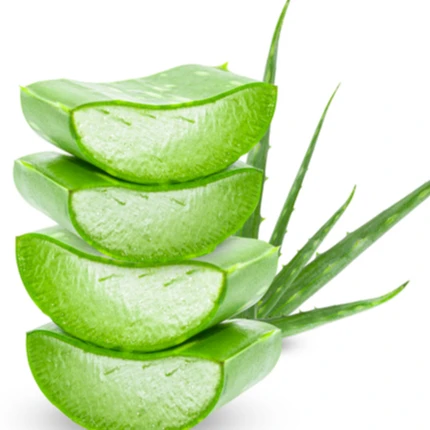 2022 New Aloe Vera gel -  100% aloe vera from Vietnam factory with Drum Packing for seller