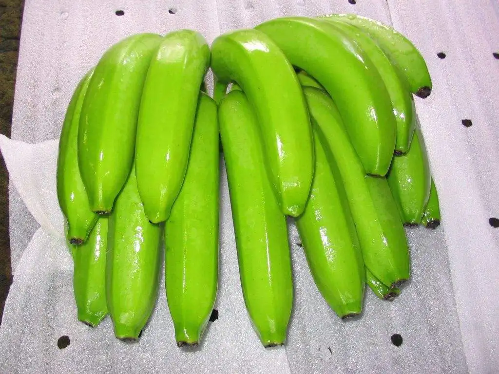 Fresh Cavendish Banana