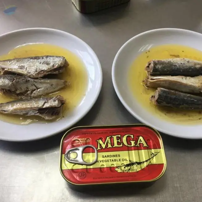 Canned Sardines Fish