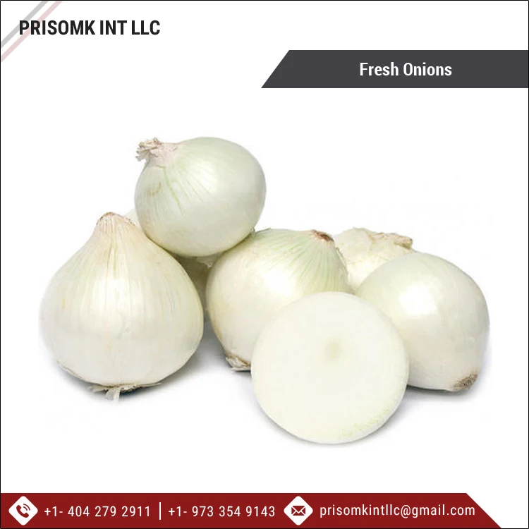 2021 New Crop Good Quality Wholesale Fresh Onions/ Onions Supplier